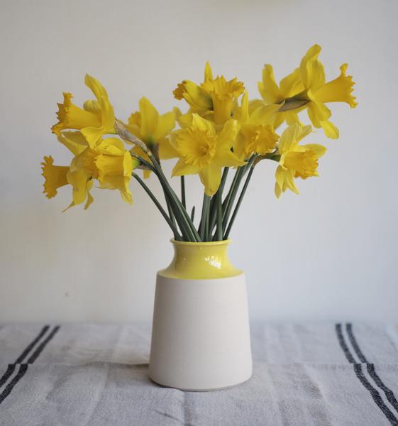 Vase with daffodils